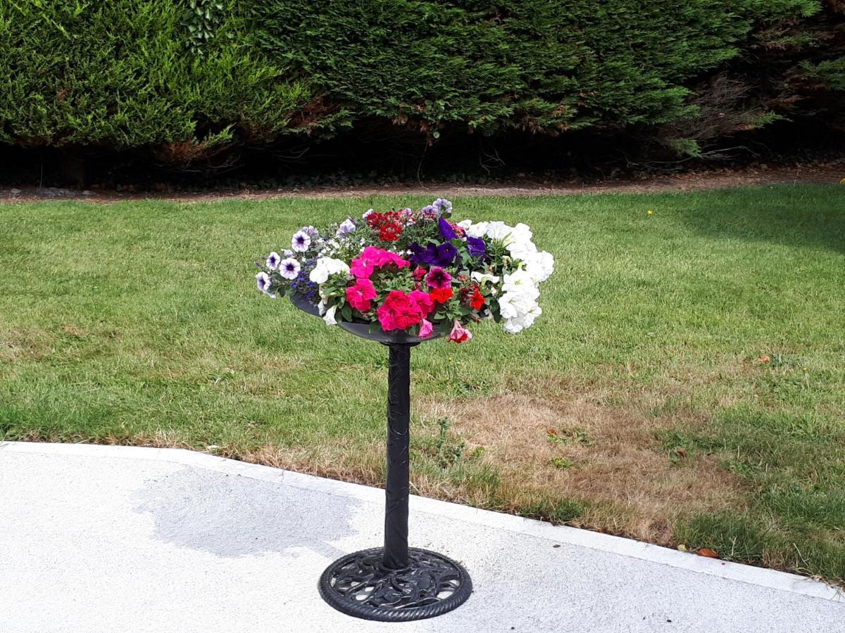 Laurel Bed & Breakfast Shannonbridge