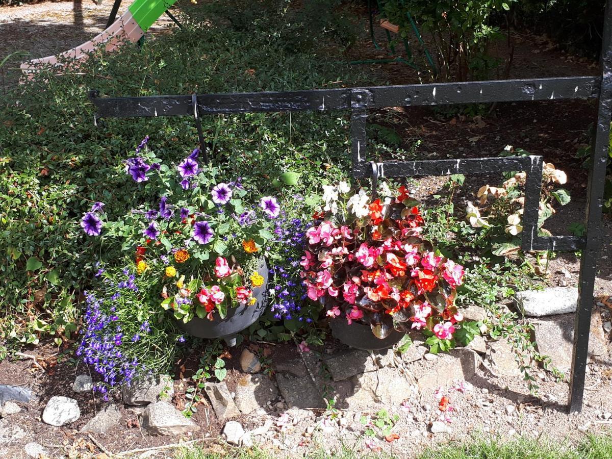 Bed & Breakfast Laurel Shannonbridge